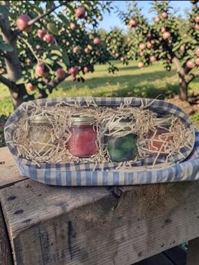 Gift Basket 4 Fruit Scented Candles Glass Mason Jars Apple/ Pear/ Cherry/Grape.